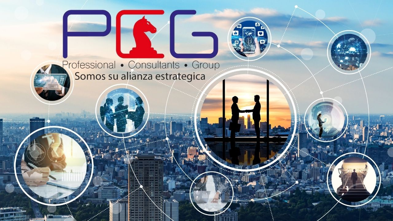 PCG - Professional Consultans Group S.A.S.