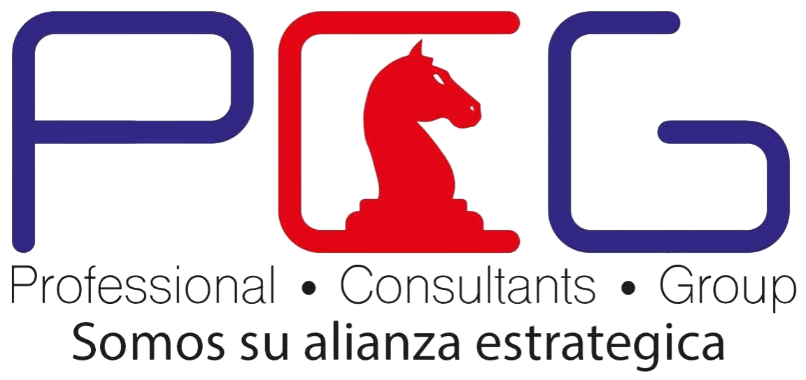 PCG - Professional Consultans Group S.A.S.